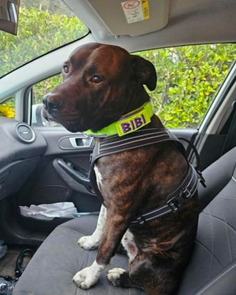 Lorem ipsum dolor sit amet consectetur adipiscing elit