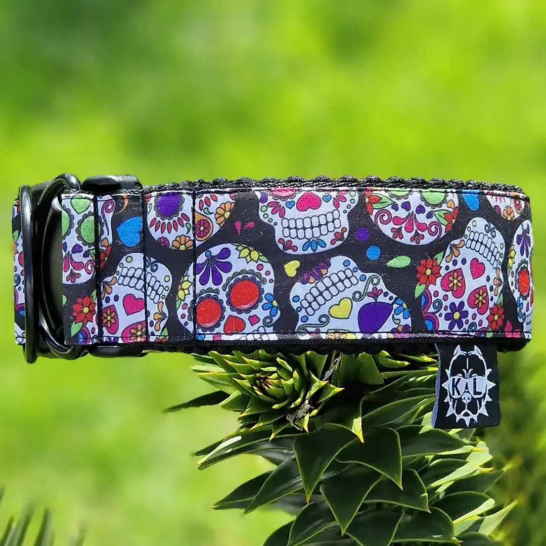 collare con teschi messicani 2