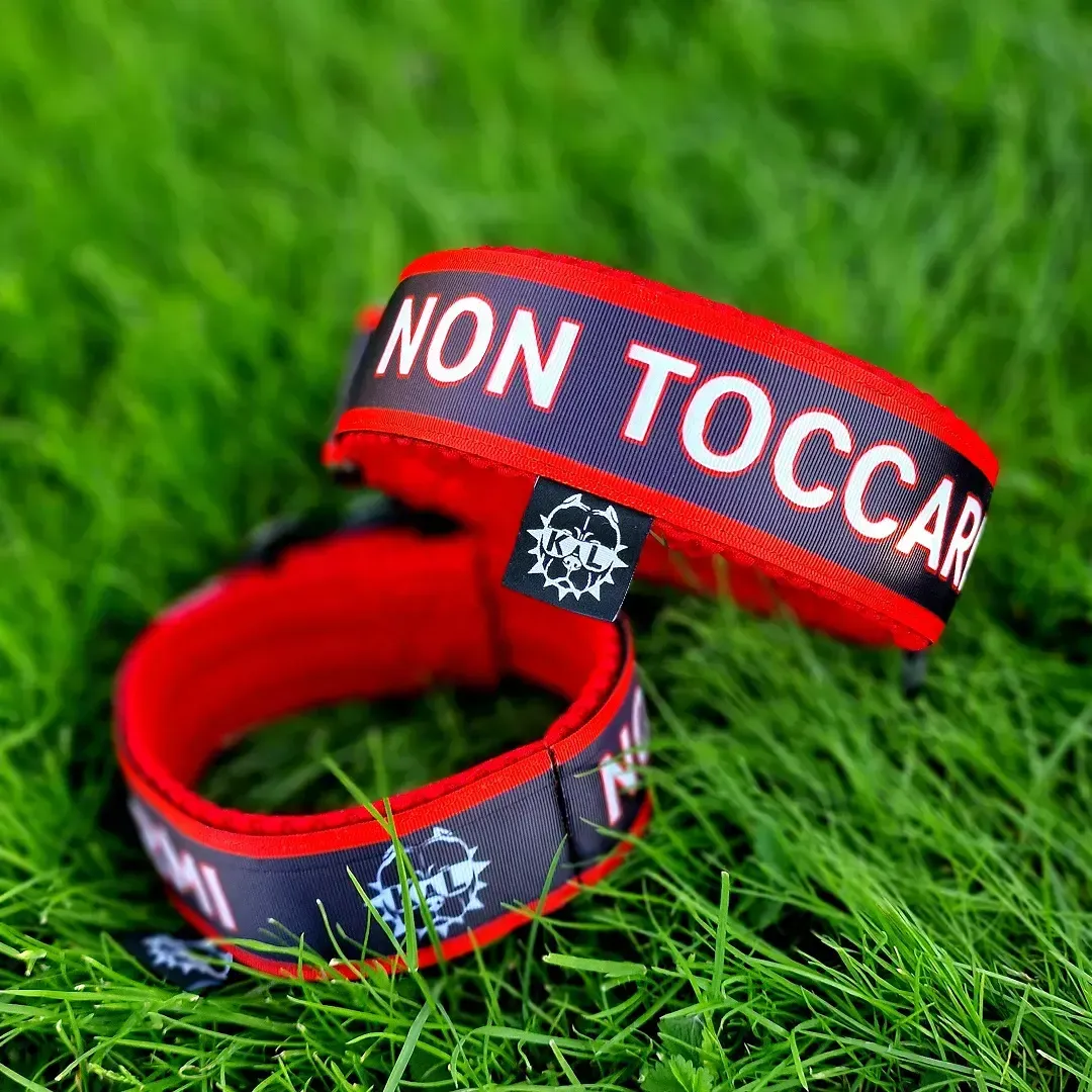 collare non toccarmi 2