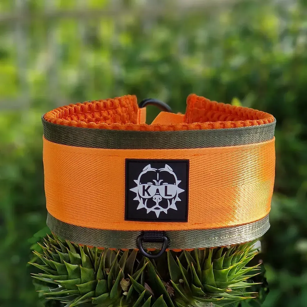 collare semistrozzo vivace main