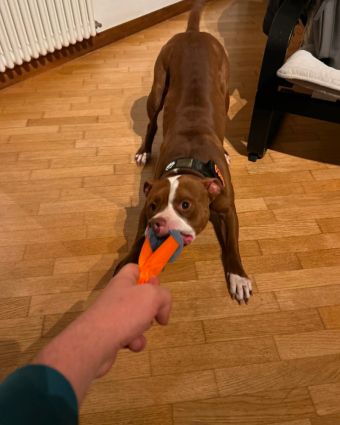 Lorem ipsum dolor sit amet consectetur adipiscing elit