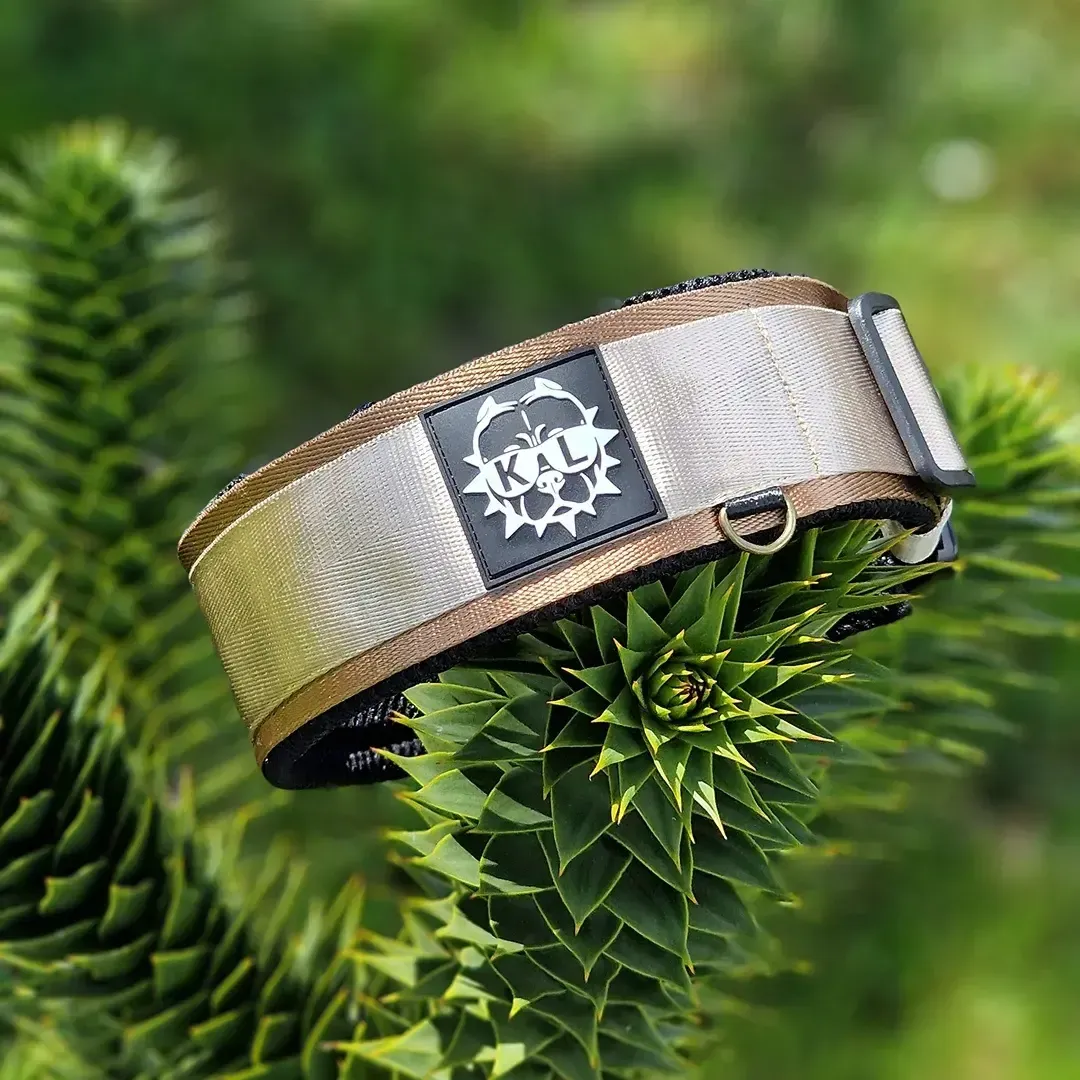 collare capuccino main