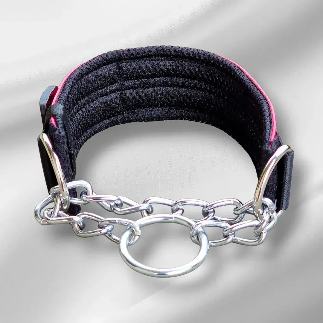 collare semistrozzo rally 2