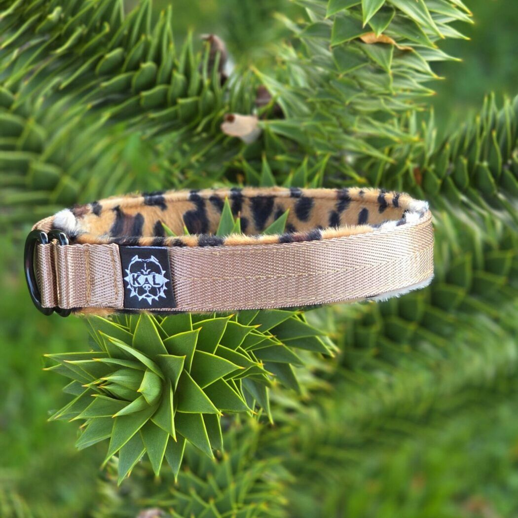 Anima Leopardo