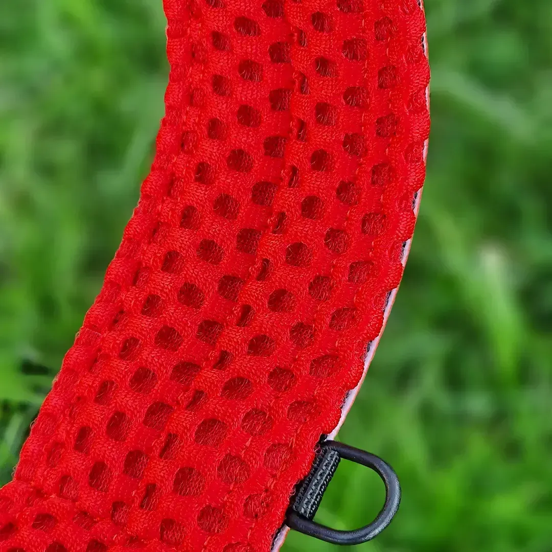 collare non toccarmi 3