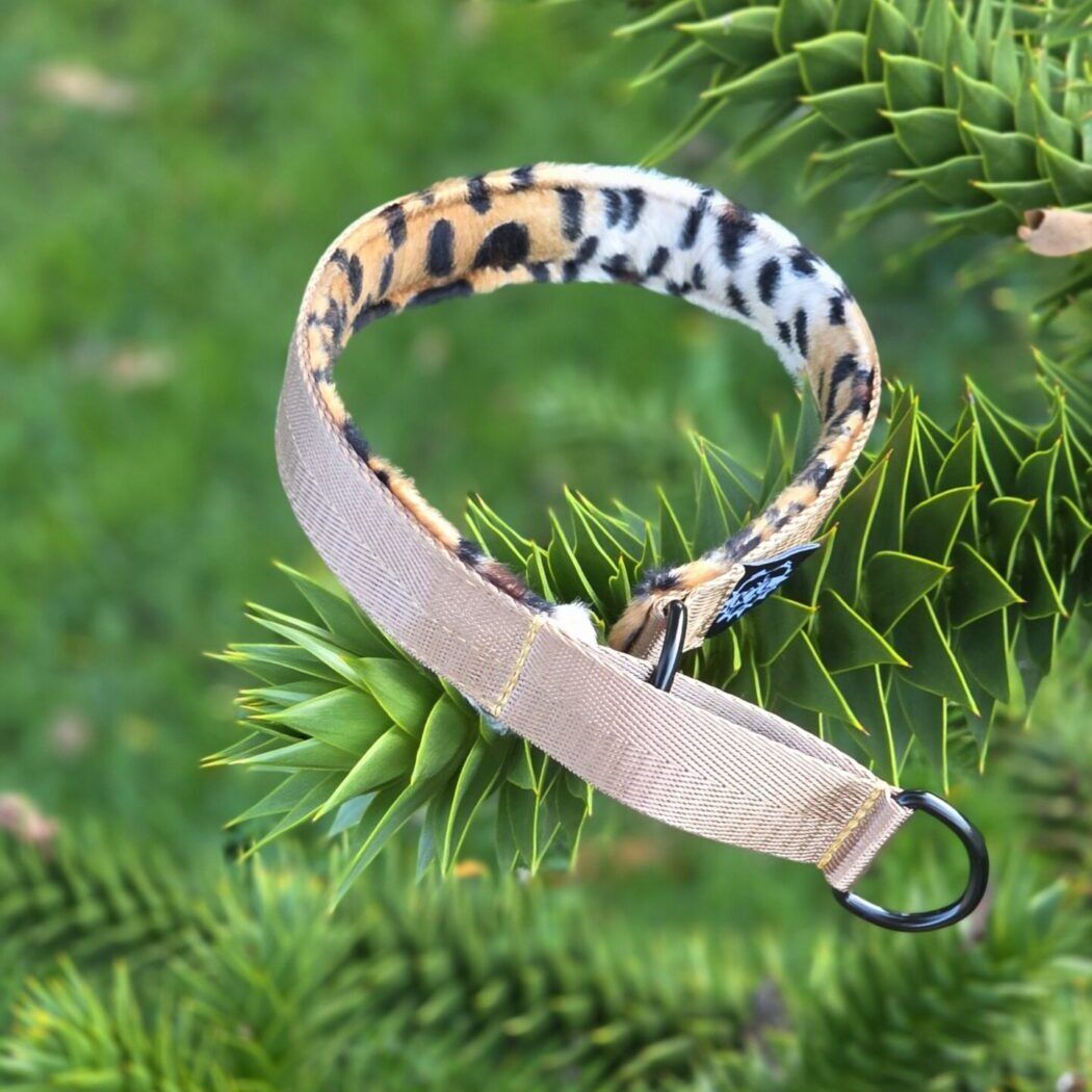 Anima Leopardo