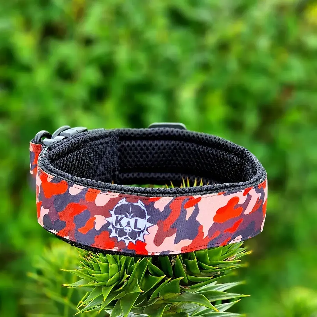 collare Mimetico rosso da 4cm main