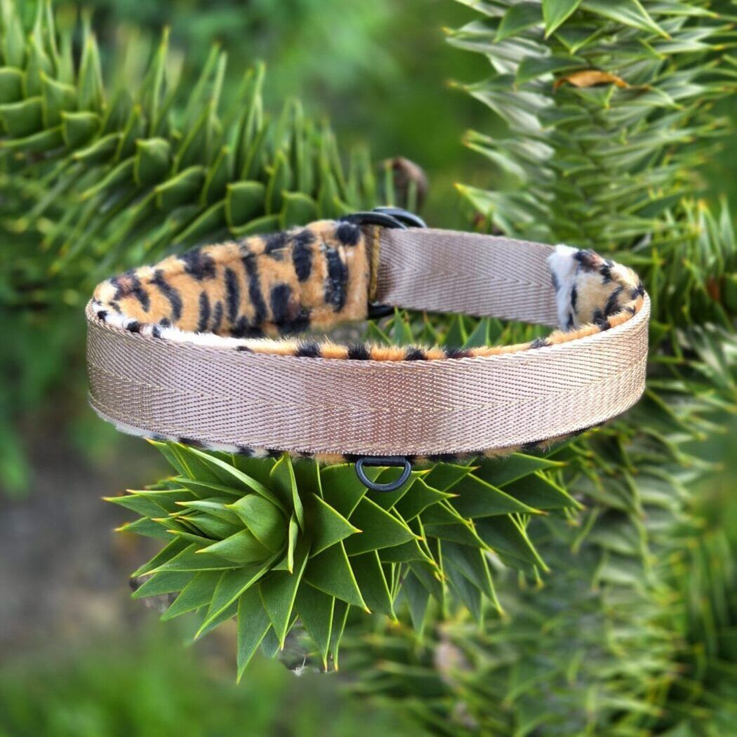 Anima Leopardo