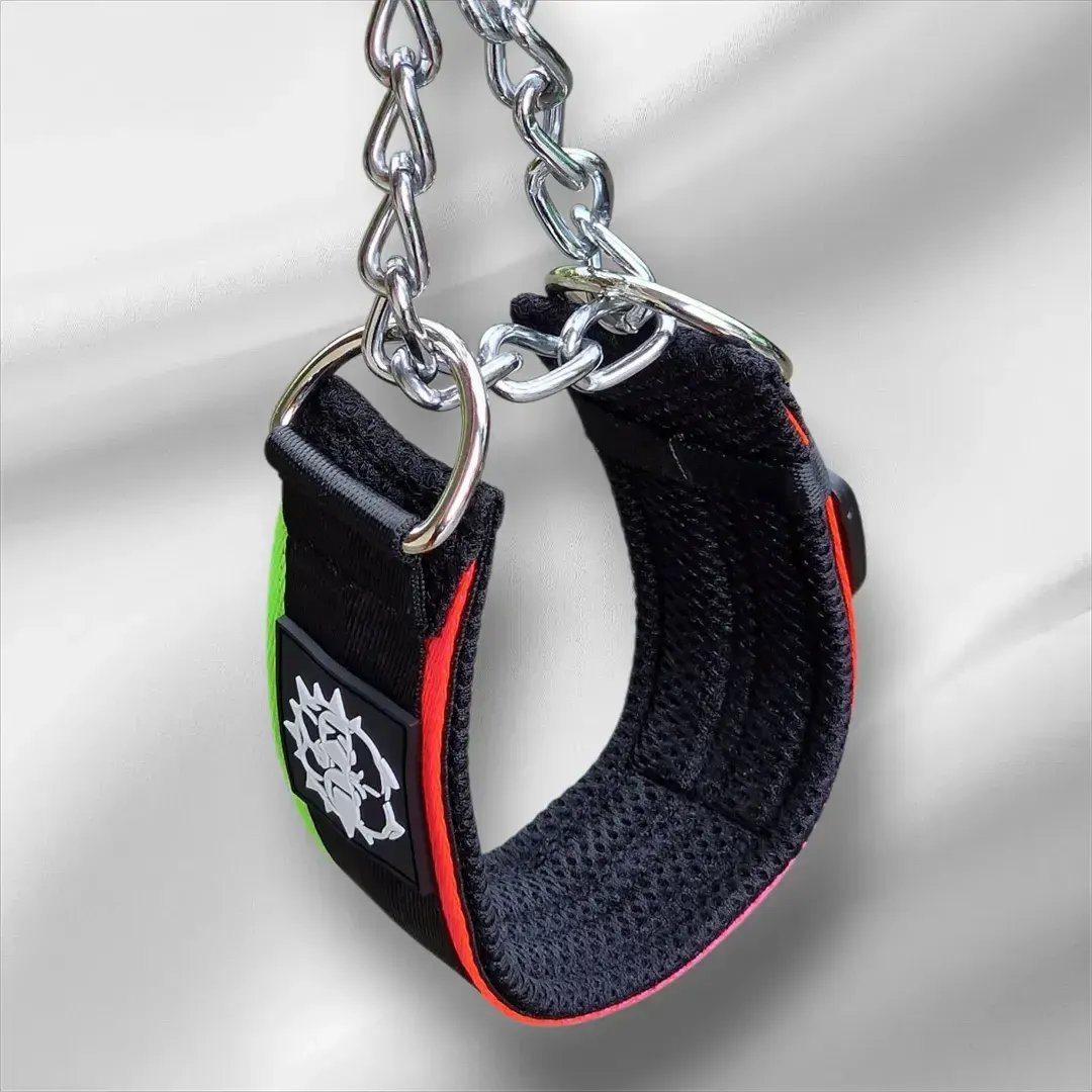 collare semistrozzo rally 3