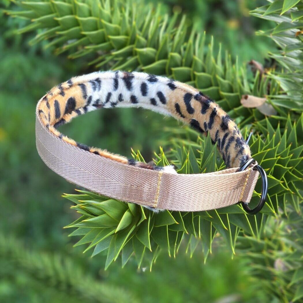 Anima Leopardo