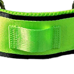 Cinghia per GPS +1,00&nbsp;&euro;