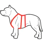 Antifuga +10,00&nbsp;&euro;