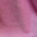 Peluche Rosa