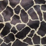 Giraffa pelliccia corta